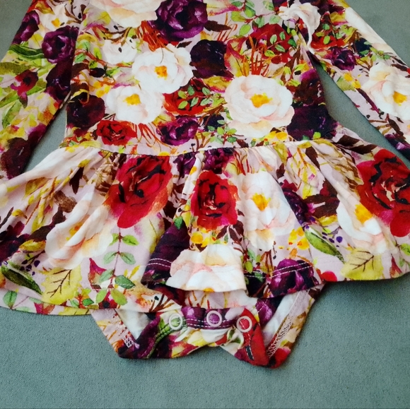 Posh Peanut 3-6 Months Floral Rose Twirl Skirt Infant Bodysuit Dress Long Sleeve - Picture 6 of 10